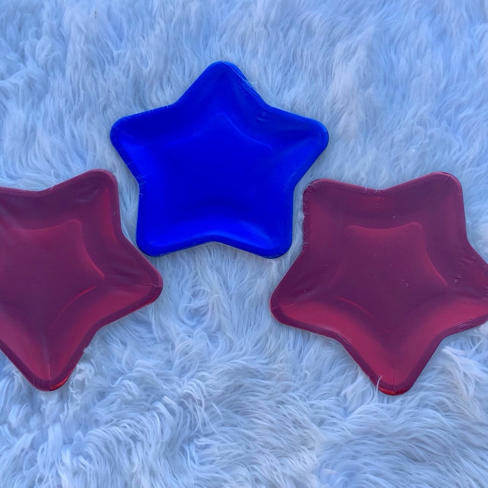 Star Paper Plates 24 Disposable Plates July 4th Party Patriotic Red and Blue